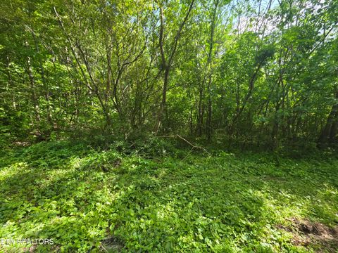 Photo of Cemetery Rd, Caryville, TN 37714 (MLS # 1338695)