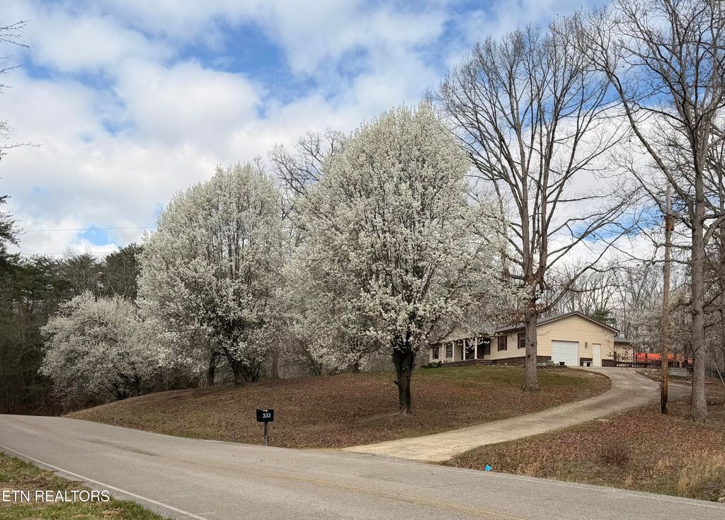 Photo of 333 Willow Springs Rd, Ten Mile, TN 37880 (MLS # 1327598)