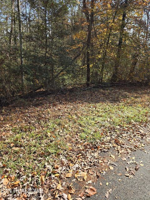 Photo of Montevallo Rd, Sevierville, TN 37876 (MLS # 1324517)
