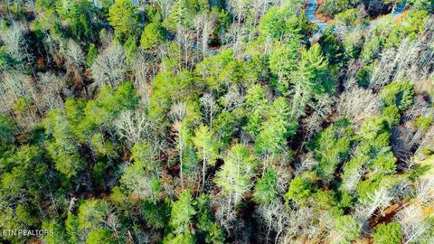 Tiny photo for Montevallo Rd, Sevierville, TN 37876 (MLS # 1324517)