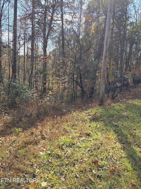 Tiny photo for Montevallo Rd, Sevierville, TN 37876 (MLS # 1324517)