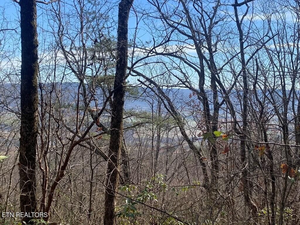 Photo of 47 Gray Rock View, Pikeville, TN 37367 (MLS # 1327752)
