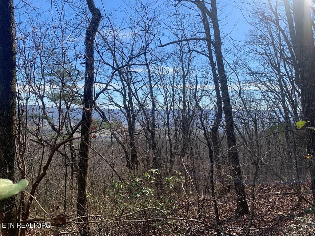 Photo of 47 Gray Rock View, Pikeville, TN 37367 (MLS # 1327752)