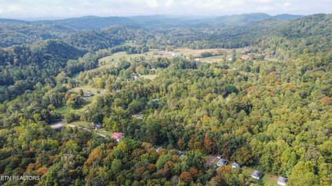 Tiny photo for 110145 Wenger Park Lane, Luttrell, TN 37779 (MLS # 1318104)
