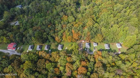 Tiny photo for 110145 Wenger Park Lane, Luttrell, TN 37779 (MLS # 1318104)