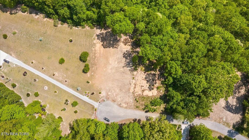 Photo of Cheri Lane, Caryville, TN 37714 (MLS # 1338021)