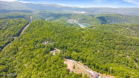 Tiny photo for Cheri Lane, Caryville, TN 37714 (MLS # 1338021)