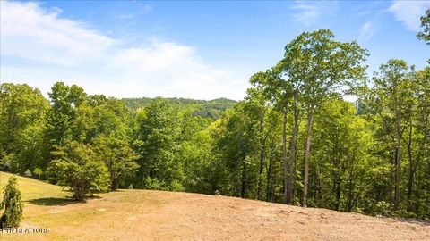 Tiny photo for Cheri Lane, Caryville, TN 37714 (MLS # 1338021)