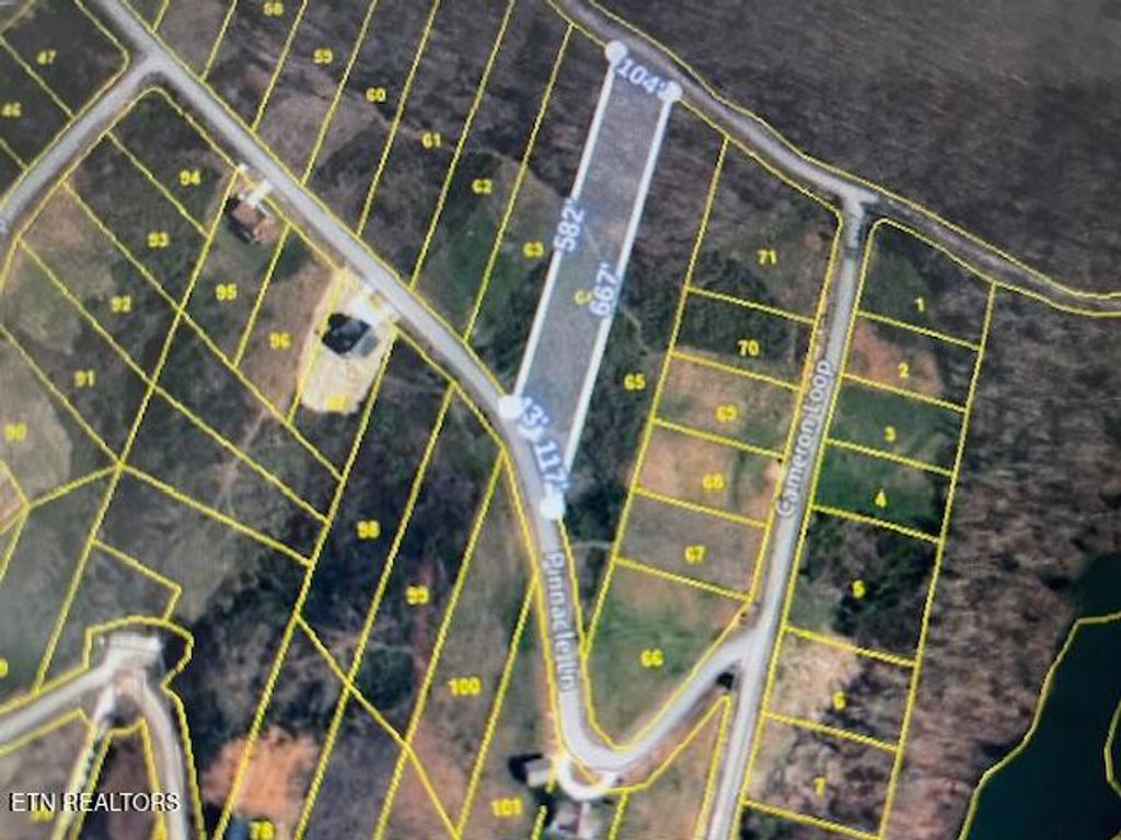 Photo of 64 Pinnacle Lane, LaFollette, TN 37766 (MLS # 1283406)