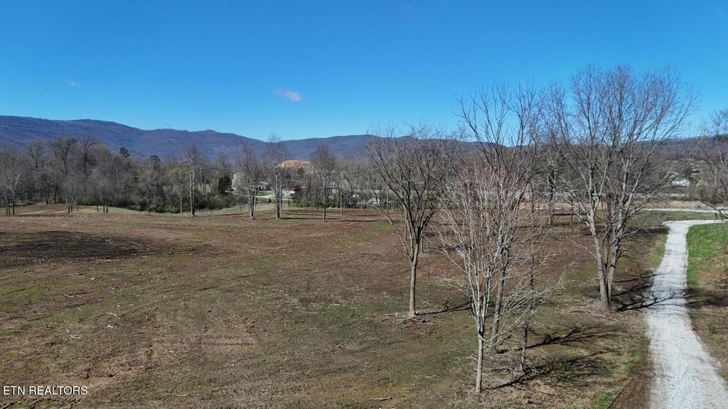 Photo of Stone Mill Tract 4 Rd, Jacksboro, TN 37757 (MLS # 1332583)