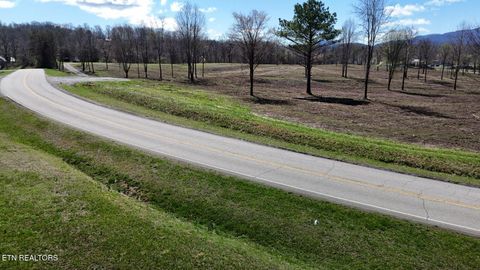 Tiny photo for Stone Mill Tract 4 Rd, Jacksboro, TN 37757 (MLS # 1332583)