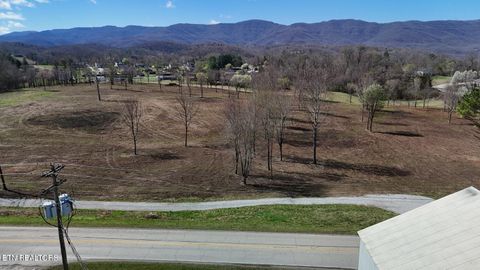 Tiny photo for Stone Mill Tract 4 Rd, Jacksboro, TN 37757 (MLS # 1332583)