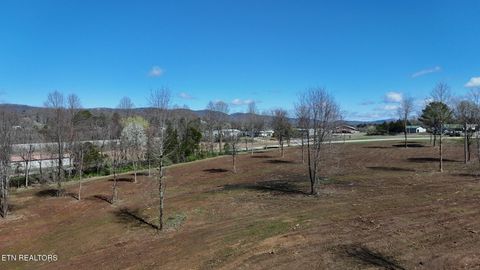 Tiny photo for Stone Mill Tract 4 Rd, Jacksboro, TN 37757 (MLS # 1332583)
