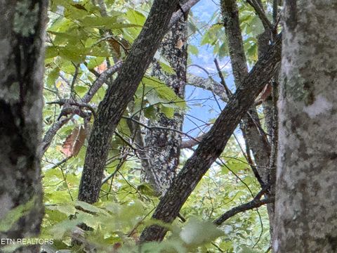 Tiny photo for 192 Clinch View Road, New Tazewell, TN 37825 (MLS # 1316476)
