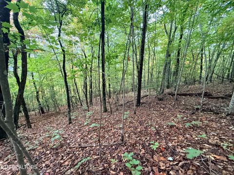 Tiny photo for 192 Clinch View Road, New Tazewell, TN 37825 (MLS # 1316476)