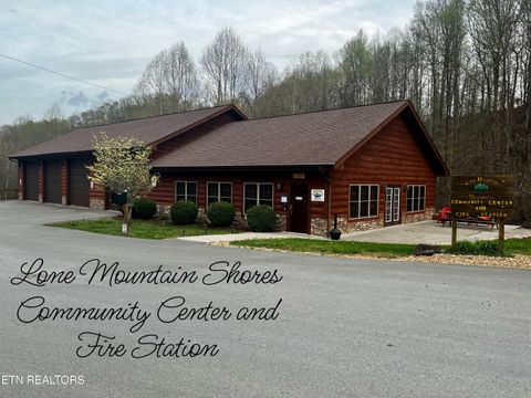 Tiny photo for 192 Clinch View Road, New Tazewell, TN 37825 (MLS # 1316476)