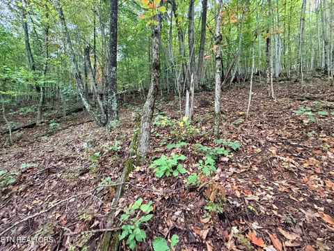 Tiny photo for 192 Clinch View Road, New Tazewell, TN 37825 (MLS # 1316476)