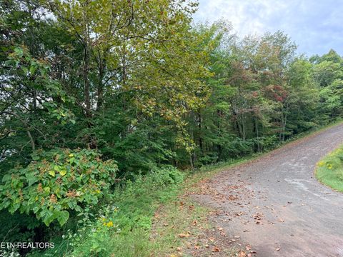 Tiny photo for 192 Clinch View Road, New Tazewell, TN 37825 (MLS # 1316476)