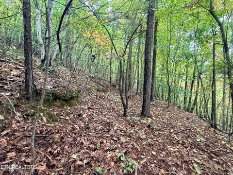 Photo of 192 Clinch View Road, New Tazewell, TN 37825 (MLS # 1316476)