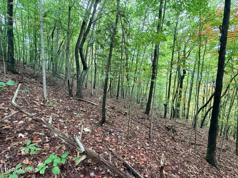 Tiny photo for 192 Clinch View Road, New Tazewell, TN 37825 (MLS # 1316476)