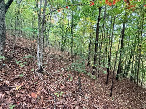 Tiny photo for 192 Clinch View Road, New Tazewell, TN 37825 (MLS # 1316476)