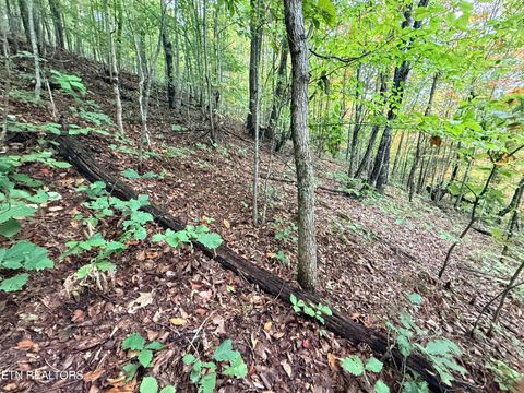 Tiny photo for 192 Clinch View Road, New Tazewell, TN 37825 (MLS # 1316476)