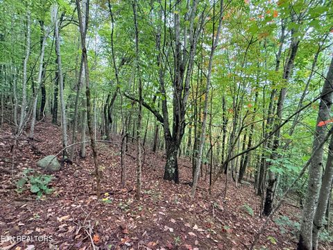 Tiny photo for 192 Clinch View Road, New Tazewell, TN 37825 (MLS # 1316476)