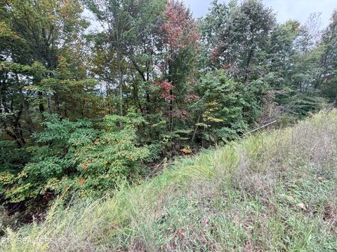 Tiny photo for 192 Clinch View Road, New Tazewell, TN 37825 (MLS # 1316476)