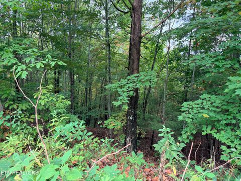Tiny photo for 192 Clinch View Road, New Tazewell, TN 37825 (MLS # 1316476)