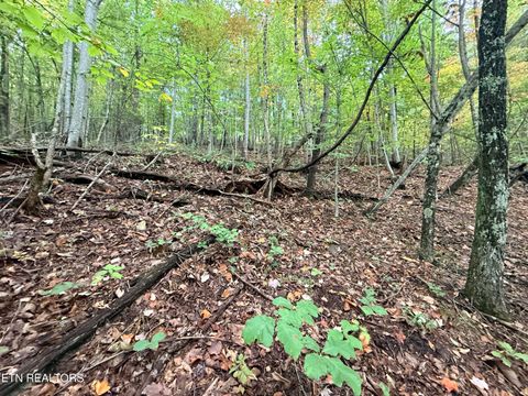 Tiny photo for 192 Clinch View Road, New Tazewell, TN 37825 (MLS # 1316476)