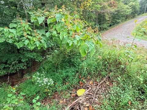 Tiny photo for 192 Clinch View Road, New Tazewell, TN 37825 (MLS # 1316476)