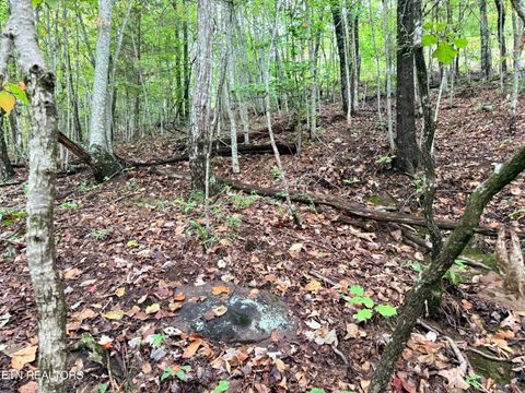 Tiny photo for 192 Clinch View Road, New Tazewell, TN 37825 (MLS # 1316476)