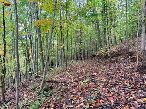 Tiny photo for 192 Clinch View Road, New Tazewell, TN 37825 (MLS # 1316476)