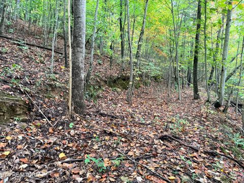 Tiny photo for 192 Clinch View Road, New Tazewell, TN 37825 (MLS # 1316476)