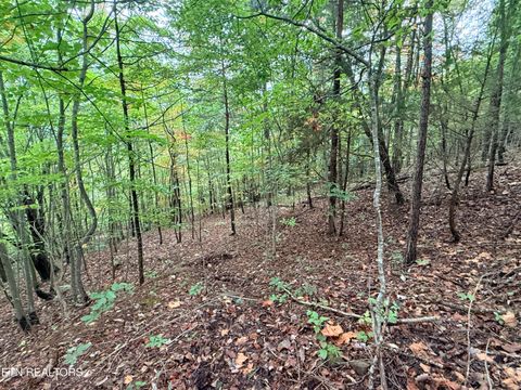 Tiny photo for 192 Clinch View Road, New Tazewell, TN 37825 (MLS # 1316476)