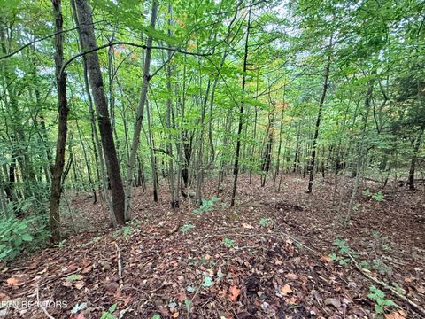 Tiny photo for 192 Clinch View Road, New Tazewell, TN 37825 (MLS # 1316476)