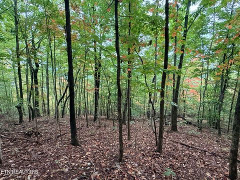 Tiny photo for 192 Clinch View Road, New Tazewell, TN 37825 (MLS # 1316476)