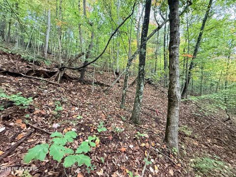 Tiny photo for 192 Clinch View Road, New Tazewell, TN 37825 (MLS # 1316476)