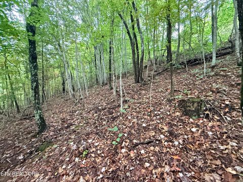 Tiny photo for 192 Clinch View Road, New Tazewell, TN 37825 (MLS # 1316476)