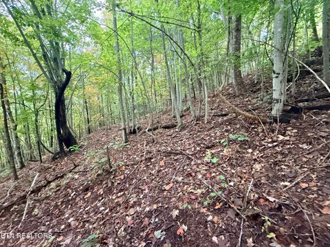 Tiny photo for 192 Clinch View Road, New Tazewell, TN 37825 (MLS # 1316476)