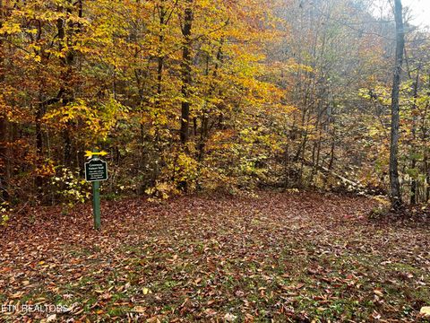 Tiny photo for 192 Clinch View Road, New Tazewell, TN 37825 (MLS # 1316476)
