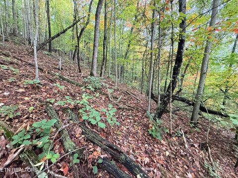 Tiny photo for 192 Clinch View Road, New Tazewell, TN 37825 (MLS # 1316476)