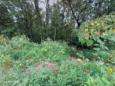 Tiny photo for 192 Clinch View Road, New Tazewell, TN 37825 (MLS # 1316476)