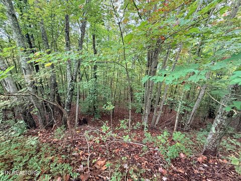 Tiny photo for 192 Clinch View Road, New Tazewell, TN 37825 (MLS # 1316476)