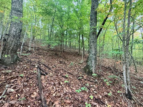 Tiny photo for 192 Clinch View Road, New Tazewell, TN 37825 (MLS # 1316476)