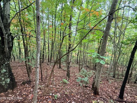 Tiny photo for 192 Clinch View Road, New Tazewell, TN 37825 (MLS # 1316476)