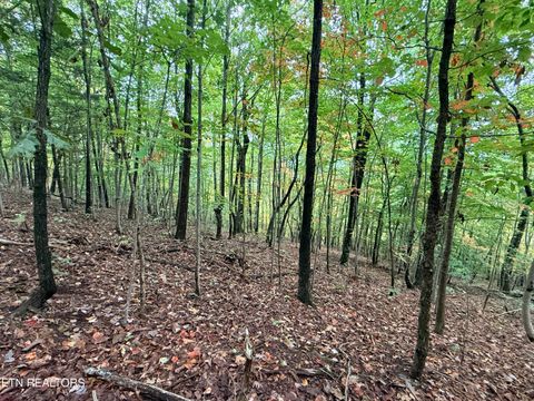 Tiny photo for 192 Clinch View Road, New Tazewell, TN 37825 (MLS # 1316476)