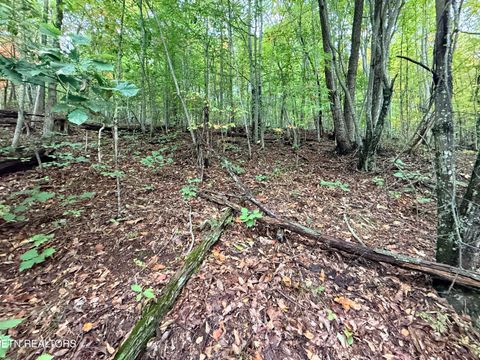 Tiny photo for 192 Clinch View Road, New Tazewell, TN 37825 (MLS # 1316476)