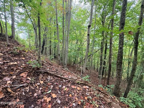 Tiny photo for 192 Clinch View Road, New Tazewell, TN 37825 (MLS # 1316476)