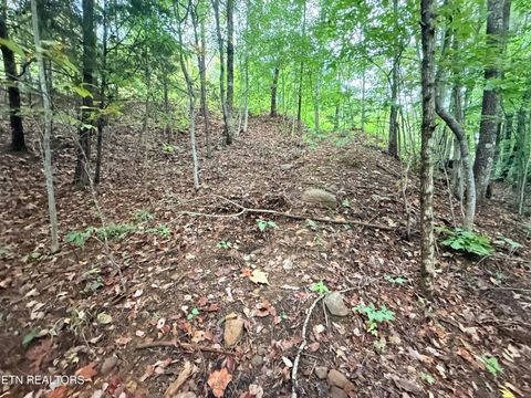 Tiny photo for 192 Clinch View Road, New Tazewell, TN 37825 (MLS # 1316476)
